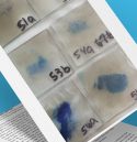 16_Issue16_BacteriaandYou-fimage