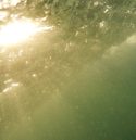 swimming3fimage